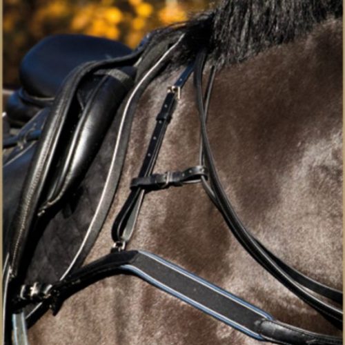 Stubben padded breastplate with neckstrap