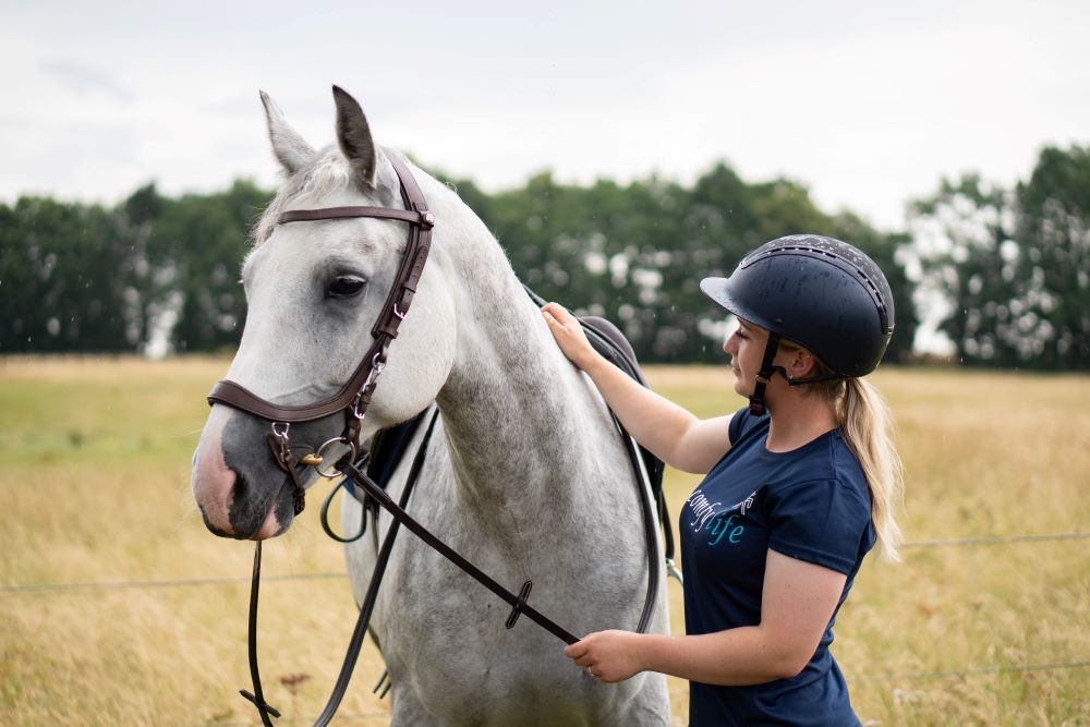 Presteq bridle