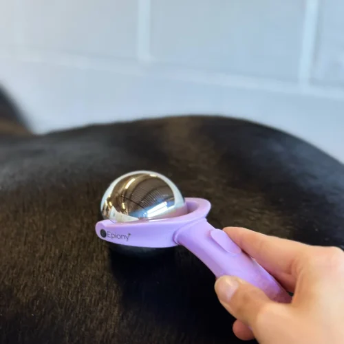 massage ball purple