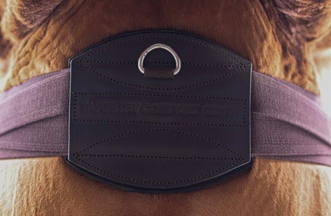 Tapestry Brown Girth