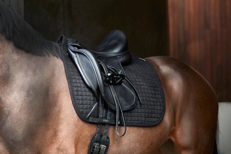 Black Catago saddlepad on horse