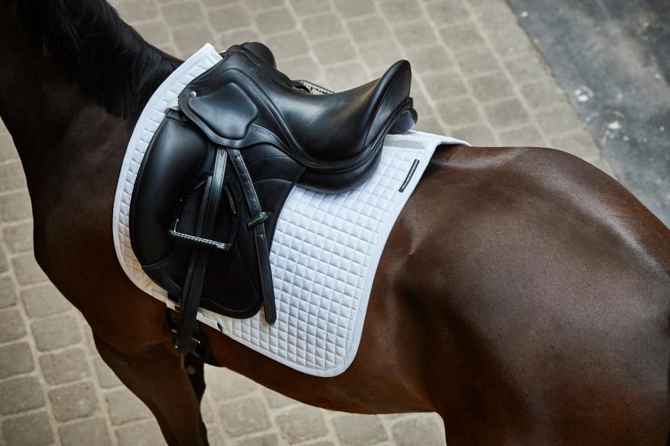 white performance saddle pad