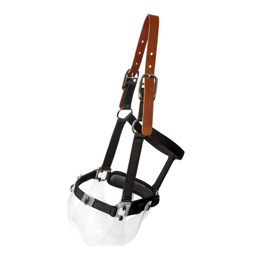 Breakawy halter