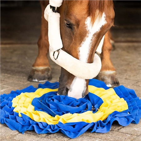 snuffle mat blue