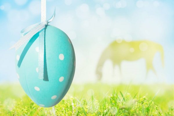 Happy Comfy Horse Easter!