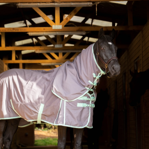 Horse Harmony Cotton Sheet
