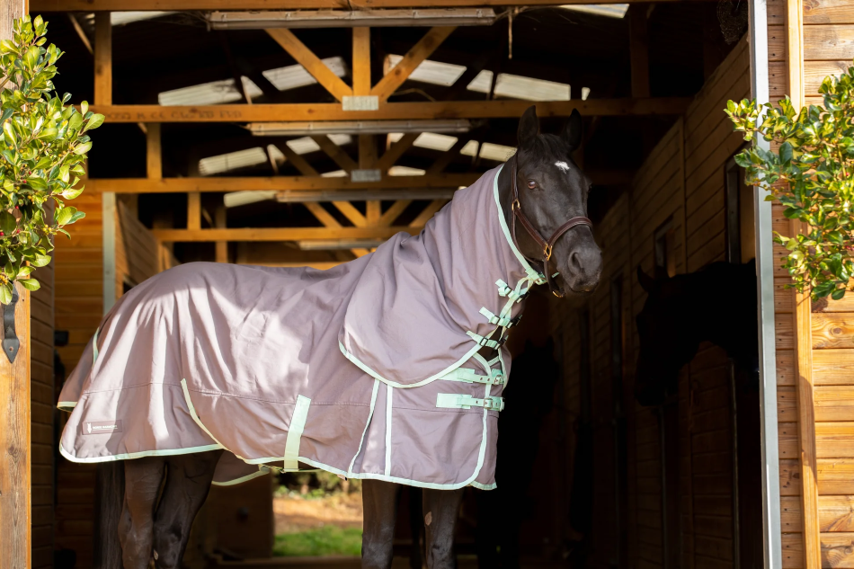 Horse Harmony Cotton Sheet