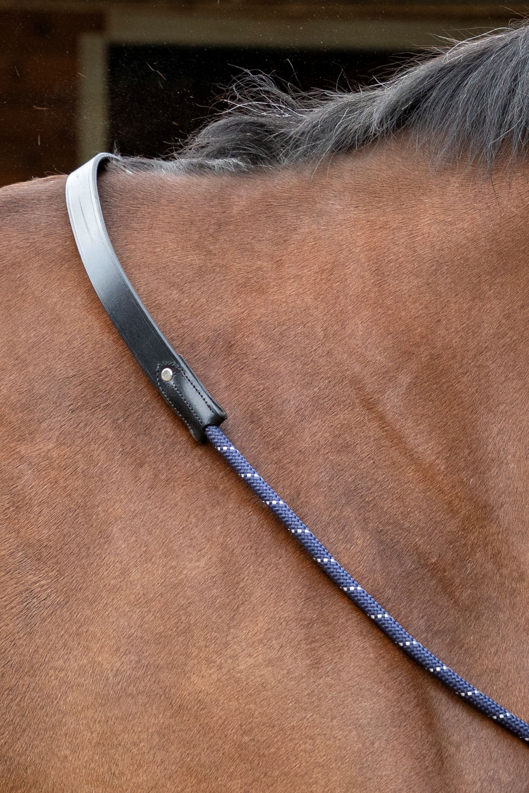 Leather neckrope blue