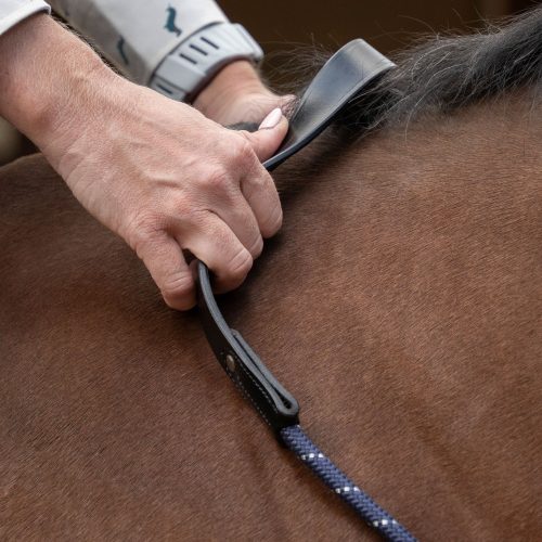 QHP Neck rope with leather