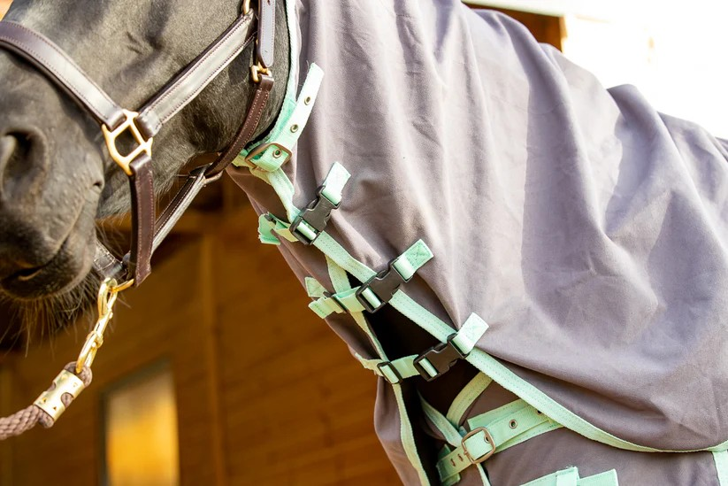 Horse Harmony neck