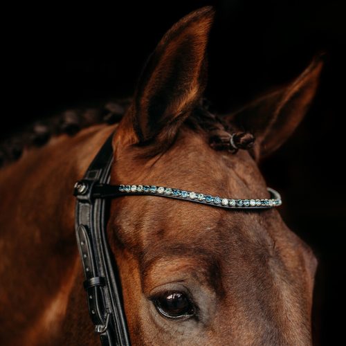 Special Edition Presteq bridle