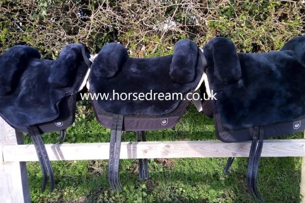 Horse Dream UK photo