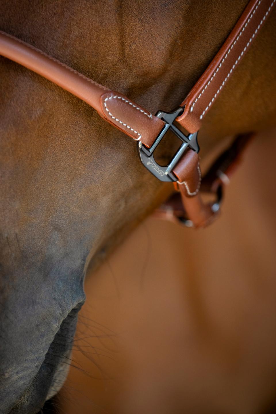metal piece of rolled halter