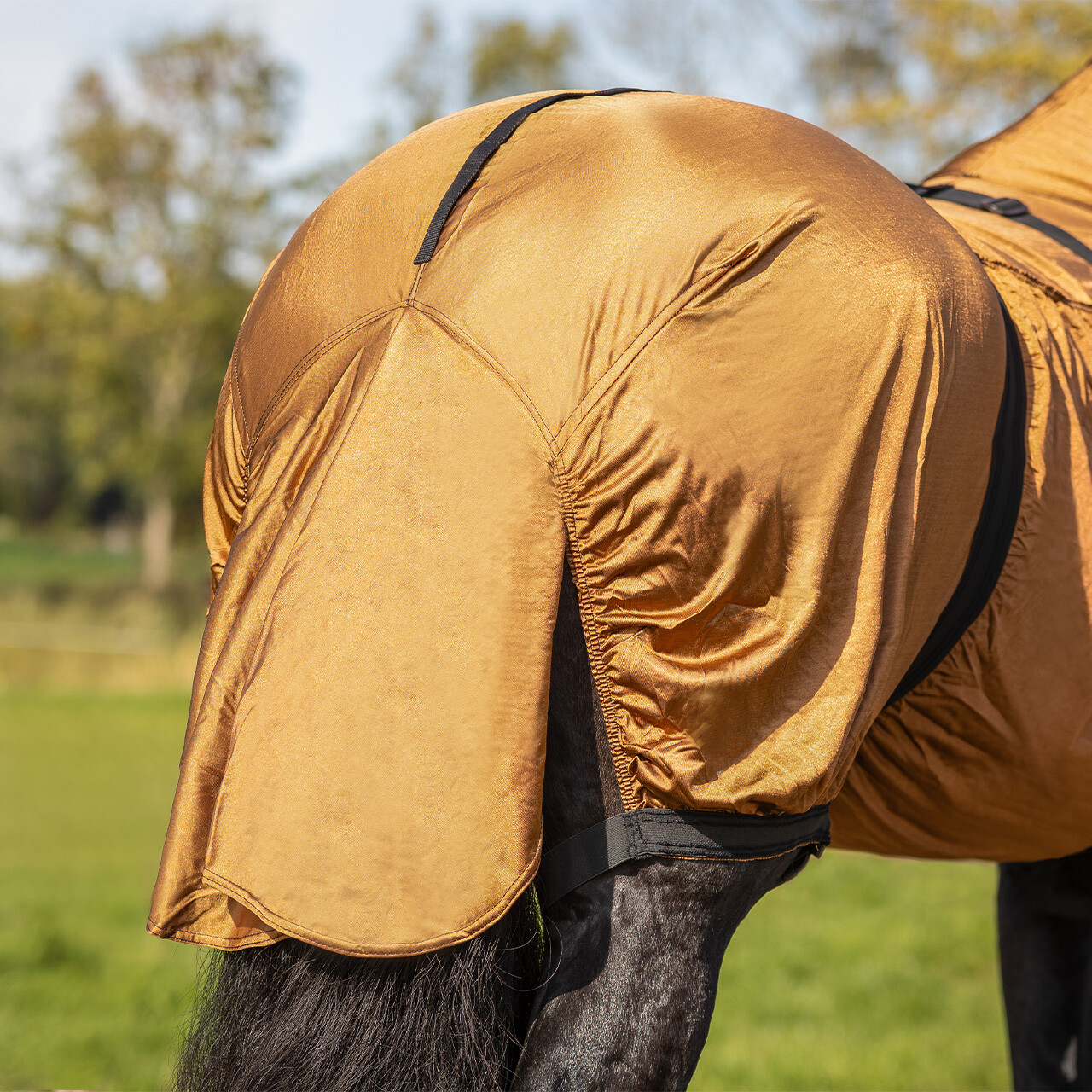 QHP Eczema Rug- Big Neck - Image 4