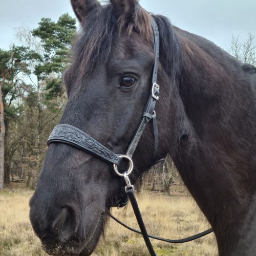 EDIX Rose Sidepull Bridle