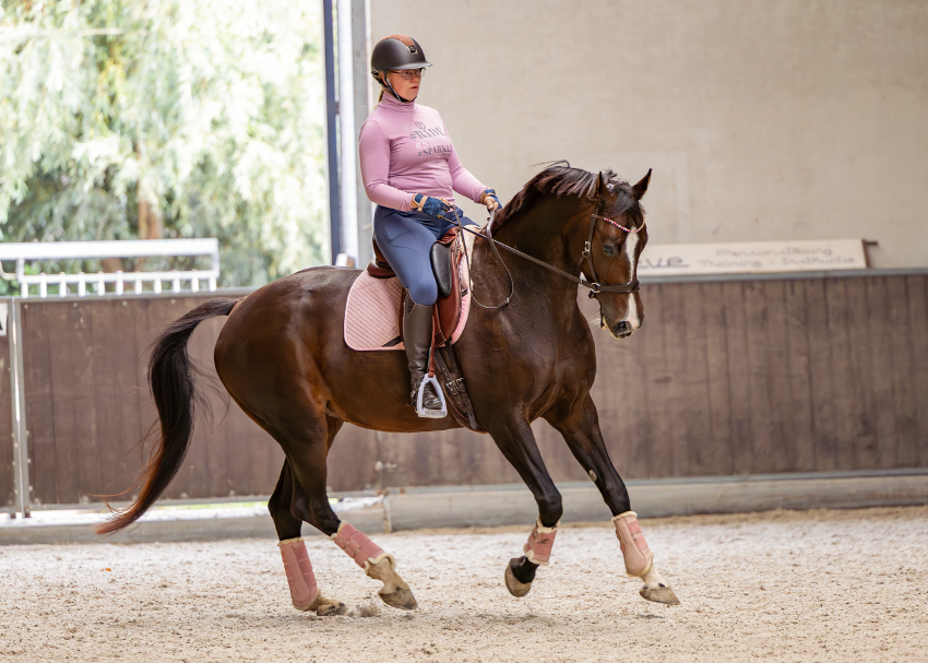 EDIX Merino dressage pink saddlepad