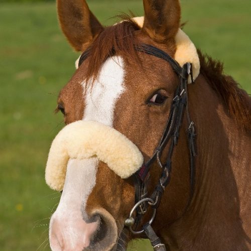 nose band
